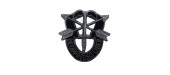 SPECIAL FORCE INSIGNIA