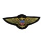 PATCHES EN CANETILLE USN AVIATOR