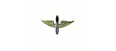 insigne de col army air corp