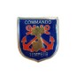 FRENCH BADGE OF COMMANDO STORM