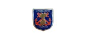 INSIGNE COMMANDO TEMPETE