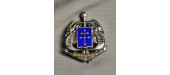 INSIGNE FUSILIER MARIN REPRO