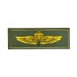 USMC & NAVY PARA JUMP WINGS