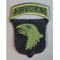 101TH AIRBORNE SUBDUED