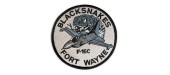 BLACK SNAKES F16 FORT WAYNE