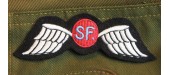 PATCHE JEDBURGHS SPECIAL FORCES WINGS