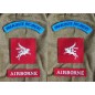 AIRBORNE DIVISION "PEGASUS" PARACHUTE REGIMENT