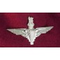 PARACHUTISTE REGIMENT BERET BADGE