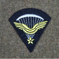 1er brevet parachutiste français infanterie de l'air