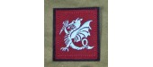 insigne de manche parachutistes coloniaux