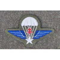 insigne de beret poitrine commando de france