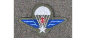 INSIGNE DE  BERET/POITRINE COMMANDO FR