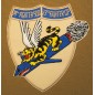 74th FIGHTER SQUADRON