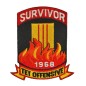 13 " SURVIVOR 1968 TET OFFENSIVE