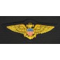 PATCHES EN CANETILLE USN AVIATOR